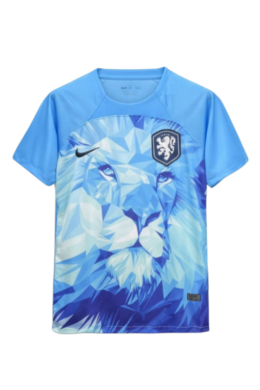 Netherlands SPECIAL EDITION JERSEY 2024/25