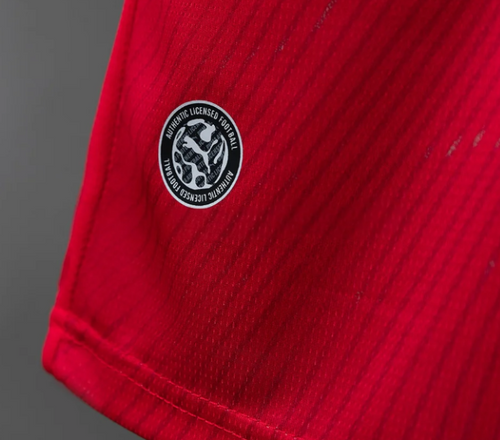 Switzerland 2026 Home Kit